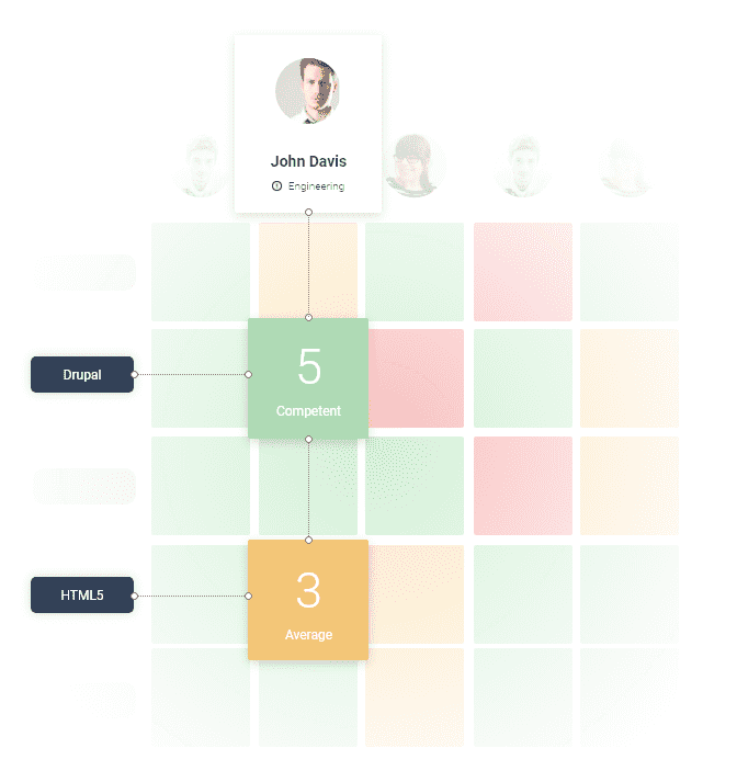 Software Engineering Insight Matrix Competency Mapping Software | Skills Base